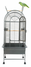 Parrot supplies california top - parrot-supplies,