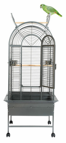 Parrot supplies california - parrot-supplies,