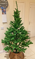 Homebase Colorado Spruce