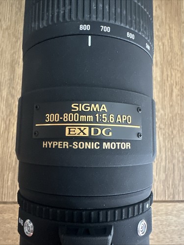 Sigma 300 800mm - sigma, f/5.6