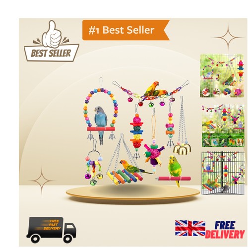 Diverse bird toy collection - bird,