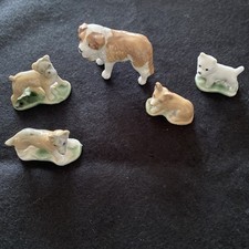 Wade Whimsie Pedigree Dogs