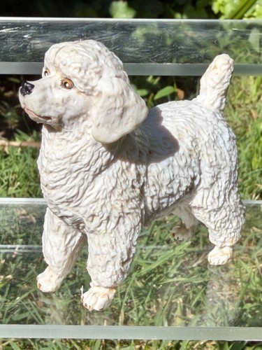 Vintage hard plastic poodle - hard,