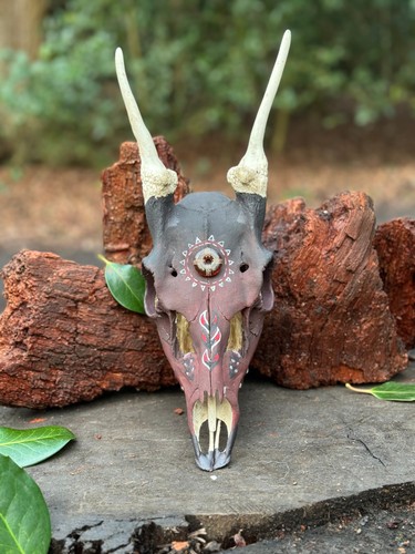 Sacred earth roe deer skull - deer,