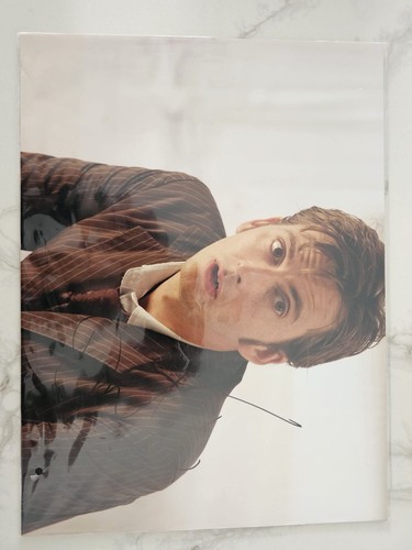 David tennant signed 16x12 - david,