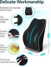 Travel Ease Ergonomic Lumbar Support Cushion, Memory Foam Back Support Cushion 