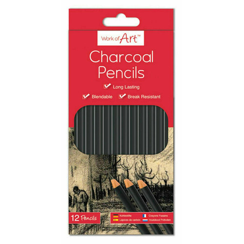 Artist charcoal pencil set - pencil,