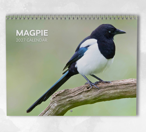 Magpie calendar 2027 monthly - calendar, 2027: