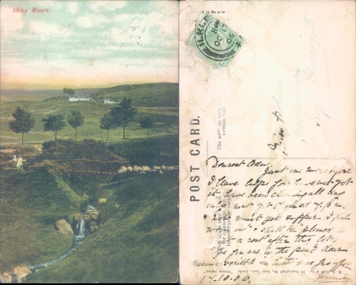 Ilkley moors arthur - ilkley,