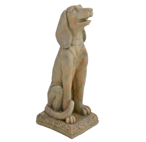 Lovely sitting dog garden - lovely,