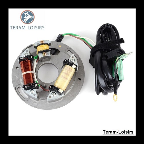 Stator alternator for - stator,