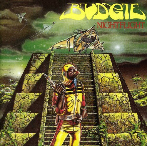 Budgie nightflight - budgie,