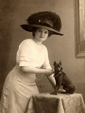 MINIATURE PINSCHER CHARMING