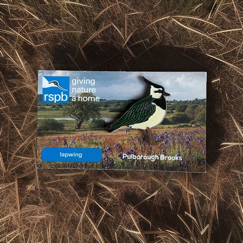Rspb lapwing pulborough - rspb-,