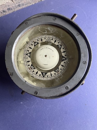 Ships compass lilly - lilly, and