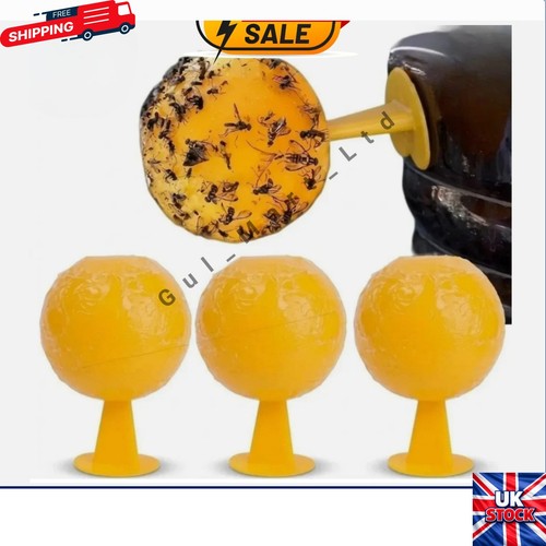 Pack indoor fly sticky traps - 3,