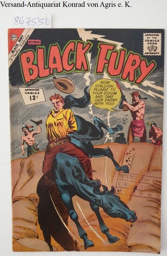 Black fury - fury, 38