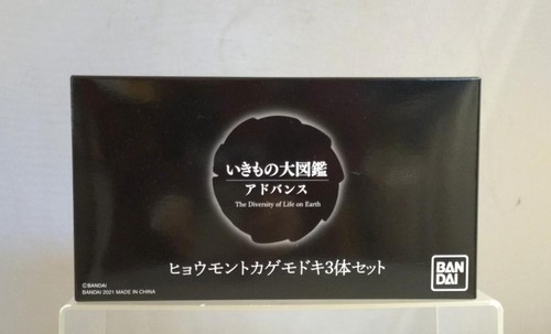 Three leopard gecko - leopard, set