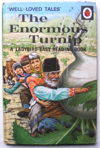 Vintage ladybird book the - book,
