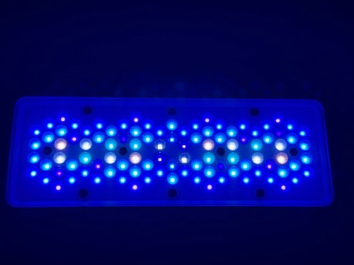 A8se reef aquarium led - , light
