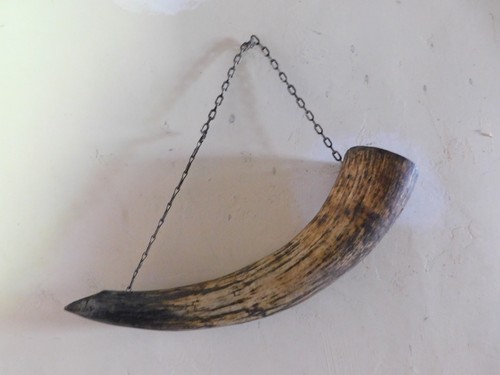 Animal horn decorative - animal,