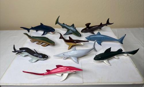 Safari prehistoric sharks - safari,