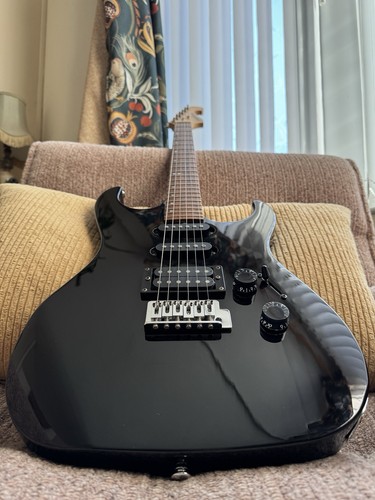 Washburn pro series electric - x,