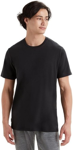 Icebreaker merino men - icebreaker, men's
