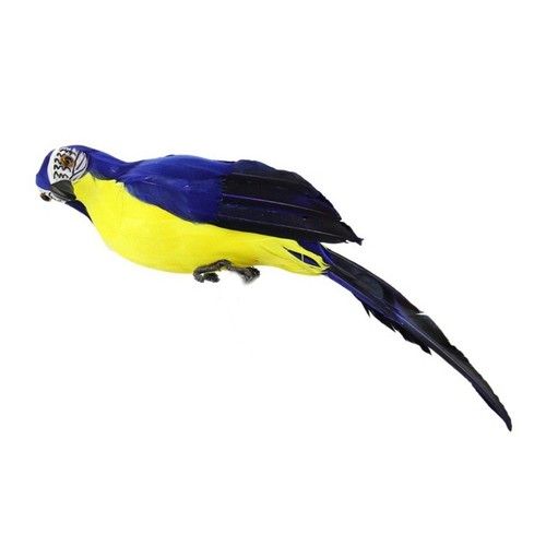 Realistic parrot bird - realistic,