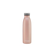 Thermos Insulated Stainless
