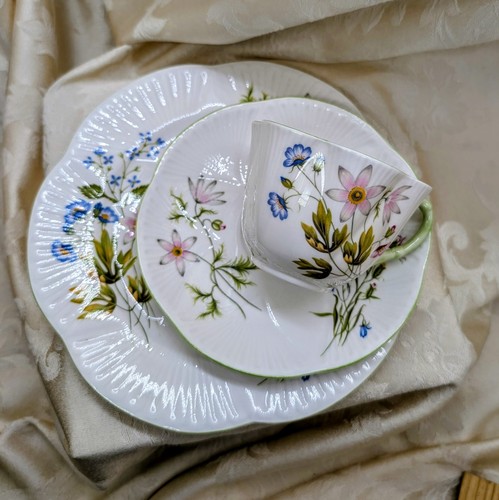 Vintage shelley wild anemone - wild,