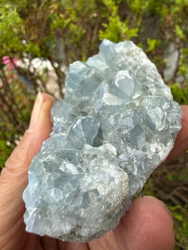 Celestite crystal geode - celestite,