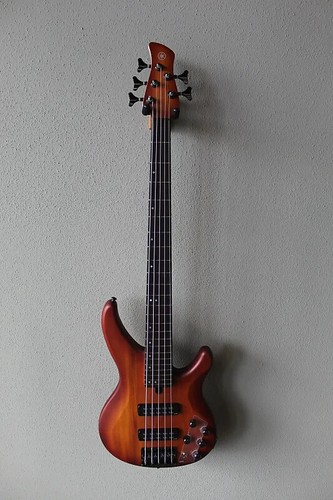 Brand new yamaha trbx505 - new,