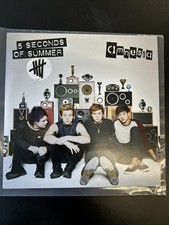 5 Seconds Of Summer - Amnesia