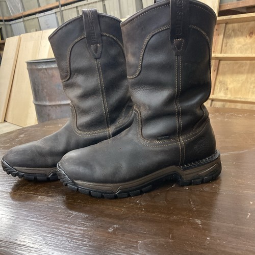 Irish setter red wing - setter,