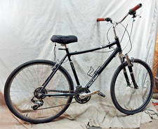 2010 Raleigh Route 3.0 Comfort