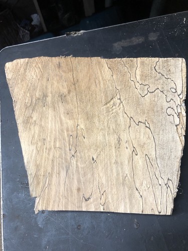 Offcut seasoned spalted - seasoned,