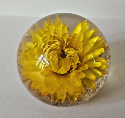 Hafod grange 1995 lucite - grange,