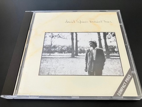 David sylvian brilliant - sylvian,