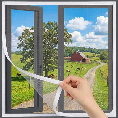 Window fly screen insect net - insect,