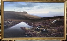 Autumnal Dartmoor Scene Brian