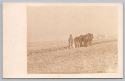 Farmer with horse - farmer,