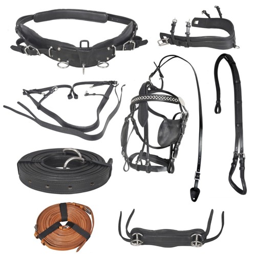 Diplomat full size horse - full-size,
