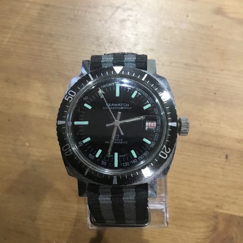 Seawatch skin diver diving