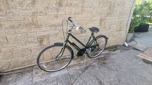Raleigh model sports - raleigh,