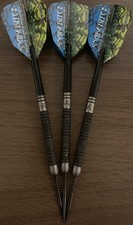 Red Dragon Peter Wright SE 20G