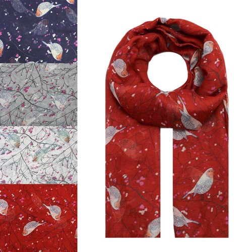 New robin bird - new,