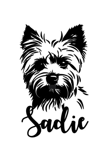 Yorkie yorkshire terrier dog - yorkshire,
