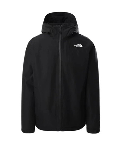 The north face mens - the,