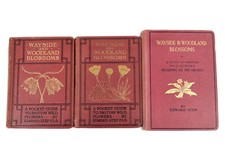 Wayside & Woodland Blossoms -